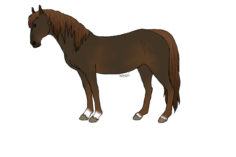 liver chestnut mare