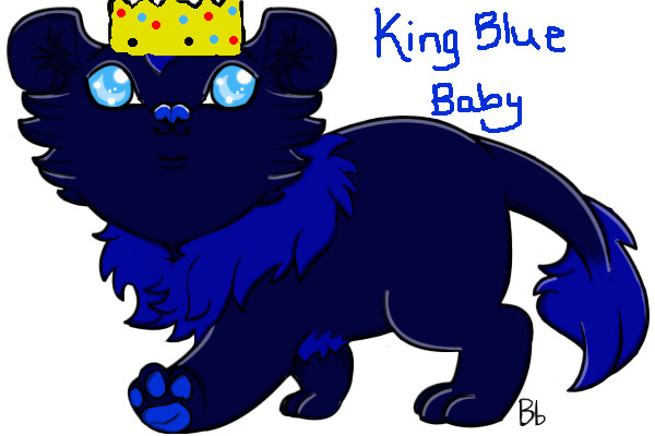 King Blue Baby for xenobe