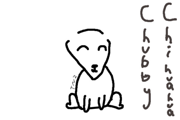 CC adoption - Chubby Chihuahuas