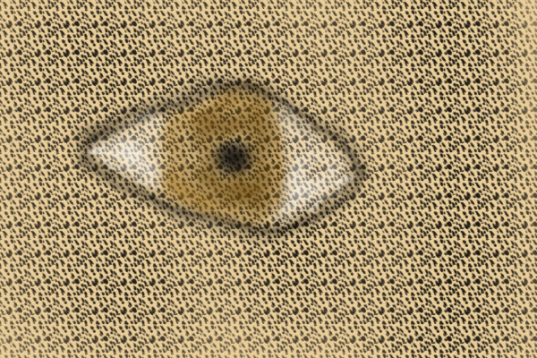 Cheeta Eye 2