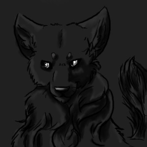 Shaded Wolf Avatar