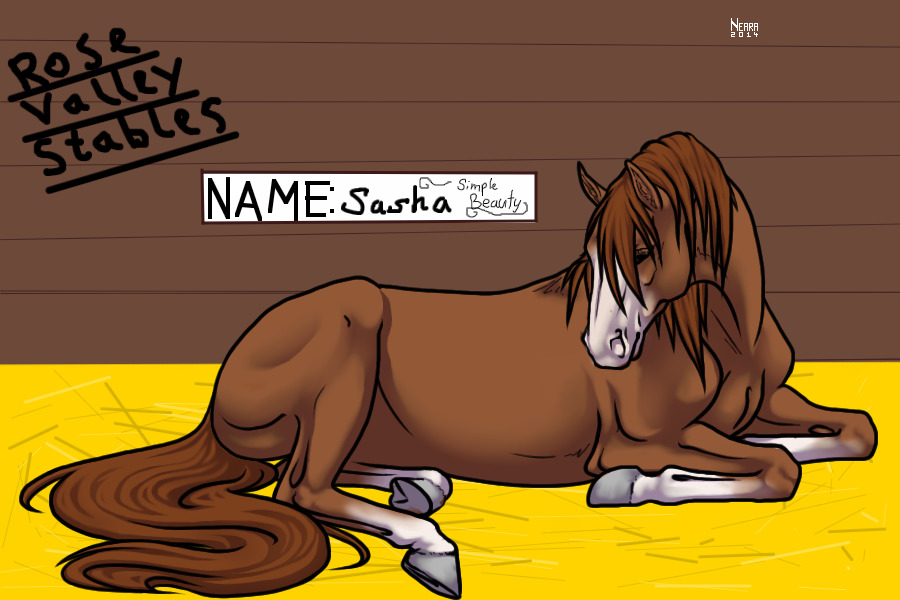 Chestnut Mare
