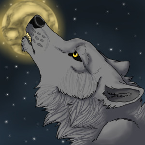 Moonlight Wolf Avatar
