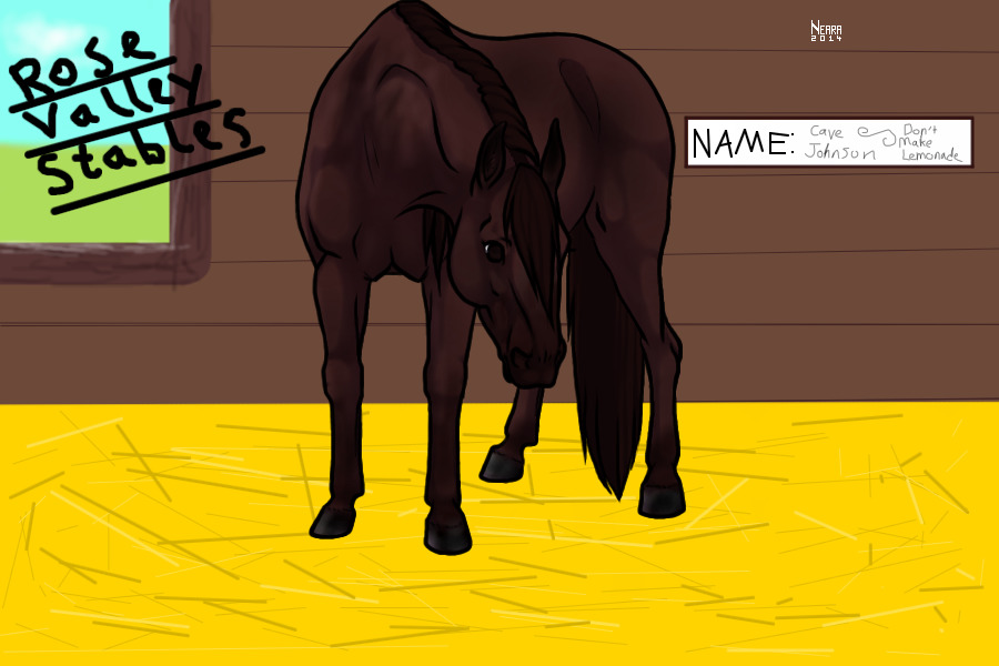 Cherry Bay Stallion