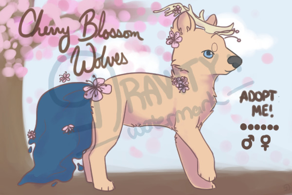 WIP: Cherry Blossom Wolves