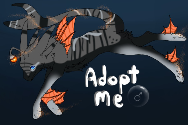 Koshei Dragon # 13 -adopted-