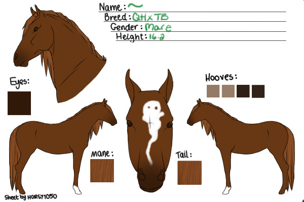 unnamed mare1