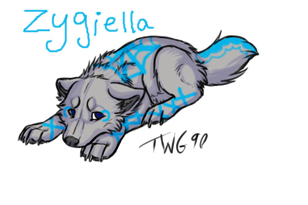 Zygiella <3