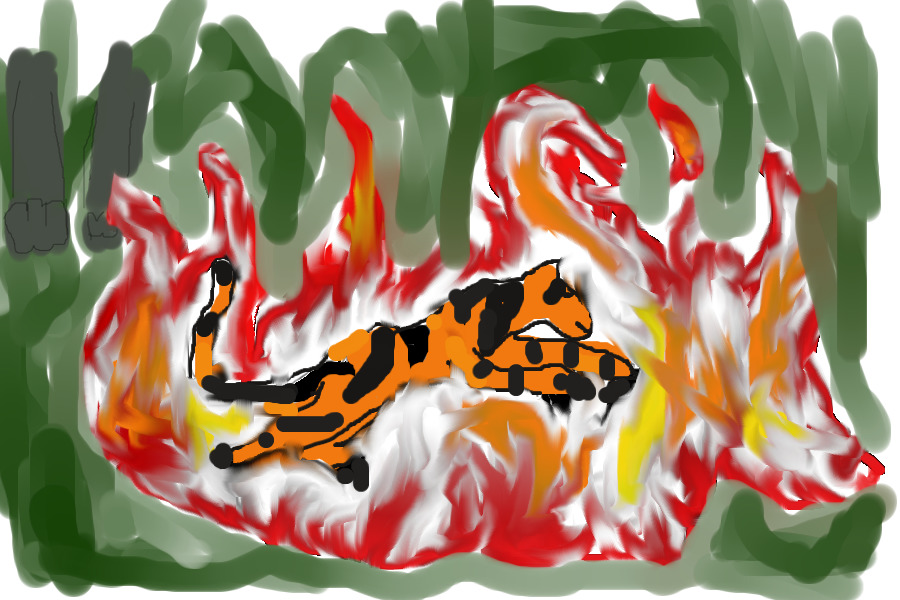 Fire And Tiger