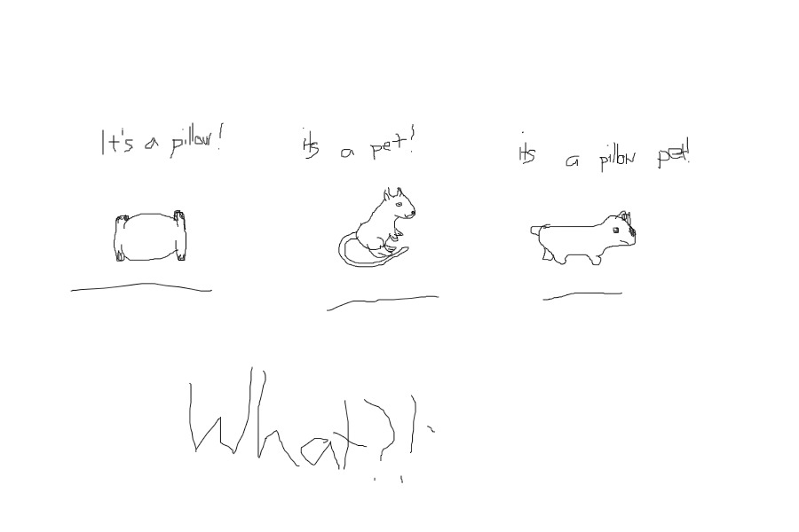 ITS A PILLOW ITS A PET ITS A PILLOWPET!