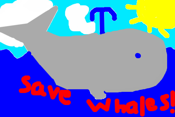 Save The Whales!