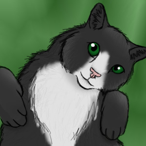 Skippy(my cat) avatar