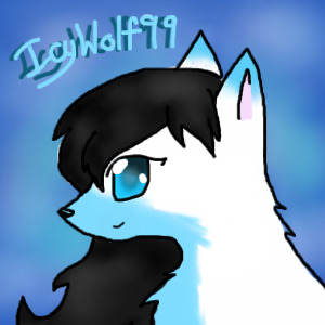 IcyWolf99 avatar with black hiar.