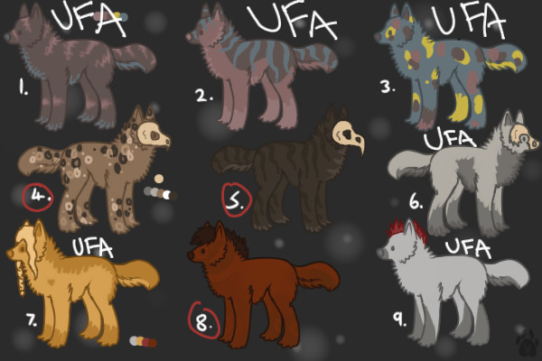 Designs UFA