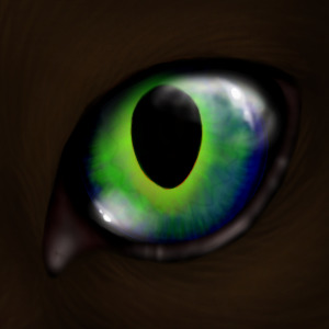 paradise eye avatar