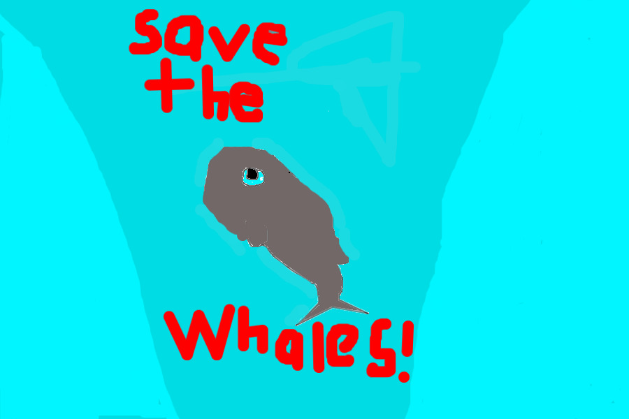 Save Whales!