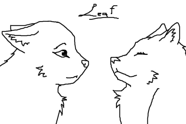 Male and Female Wolf