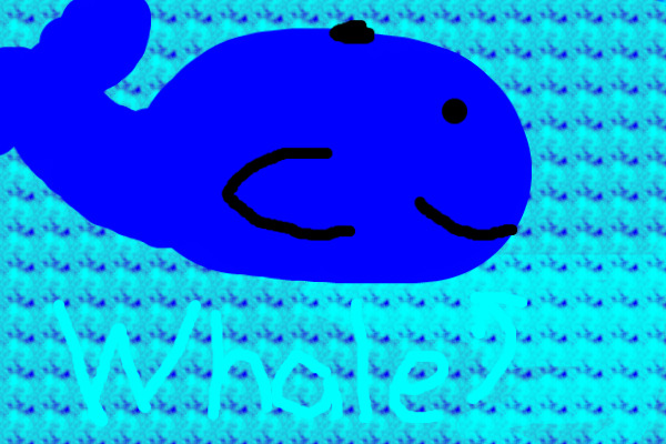 whale