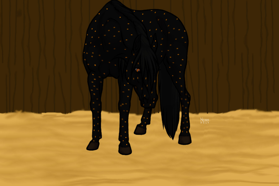 Stallion #10 - Black Flecked Gold - TPB