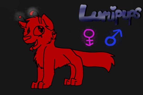 Lumipups ^^