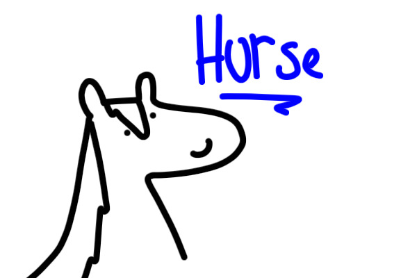 Very Bad Horse