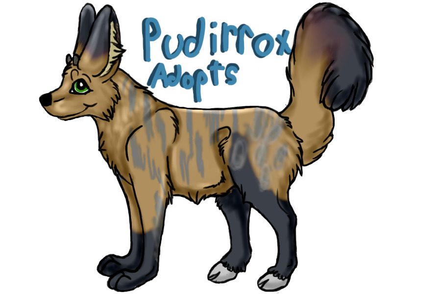 Pudirrox - Open species