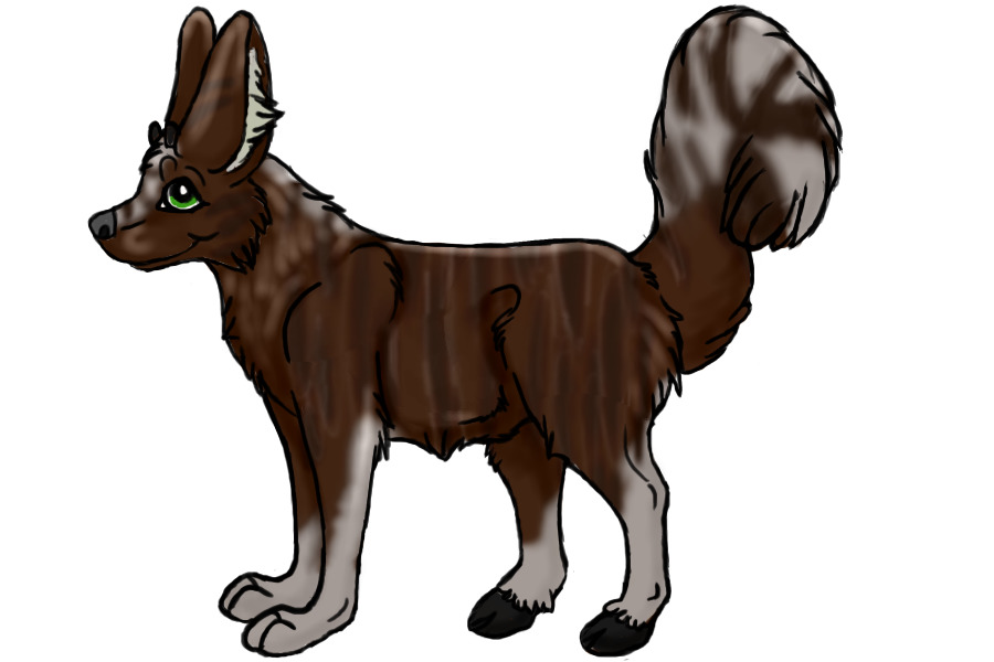 Pudirrox #3 - Cocoa