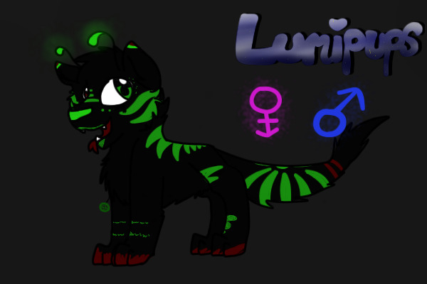 Lumipup #4