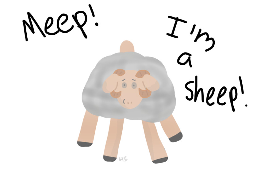 SHEEP!