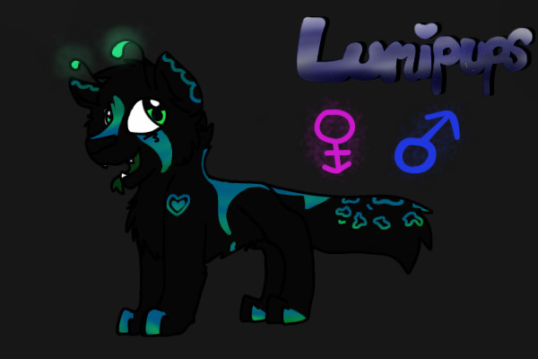 Lumipup #7