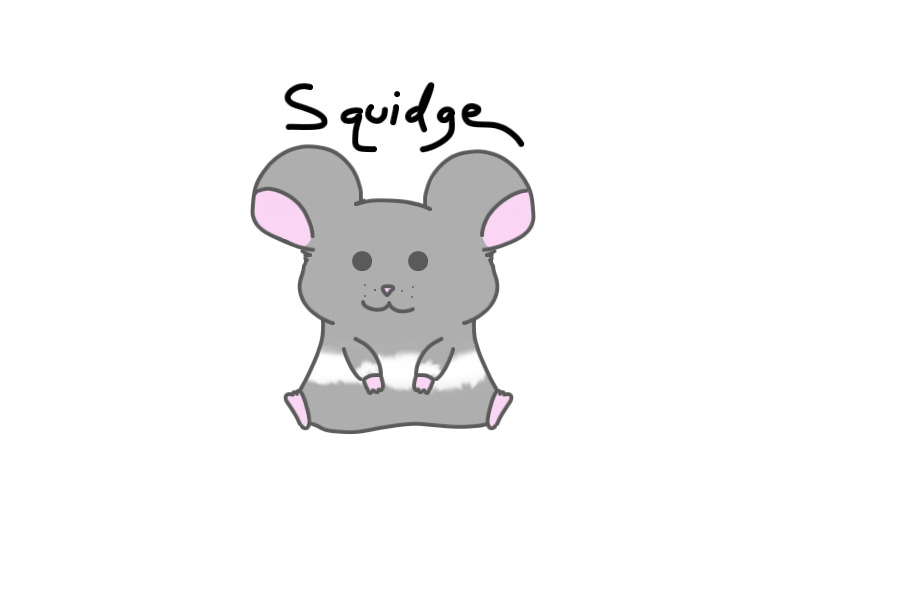 Squidge the Hamster
