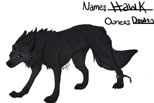 The Black Hawk - Wolf Ref