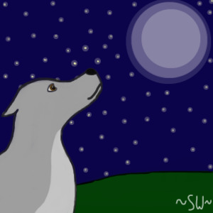 Wolf looking at the moon