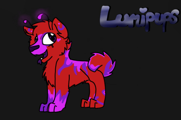Lumipup #8