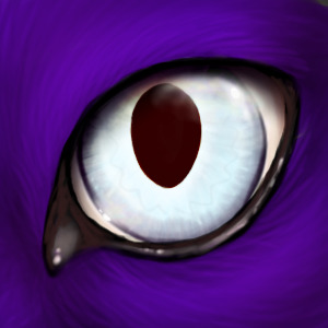 Eye