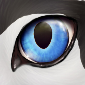Husky Eye- Colour in