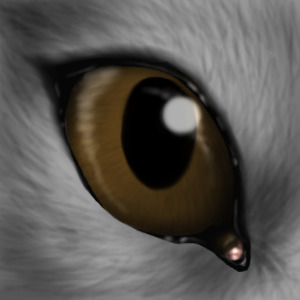 Skye's eye