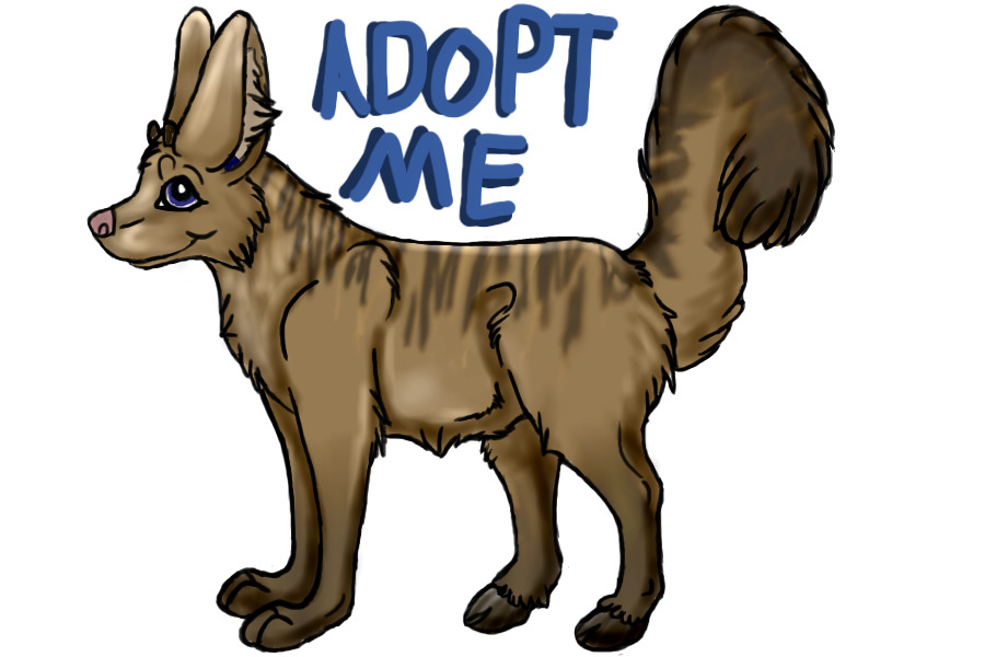 Pudirrox #6 - For adoption