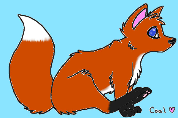 Sitting fox