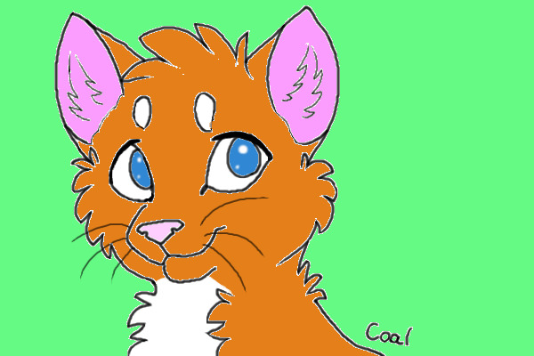 Fox face