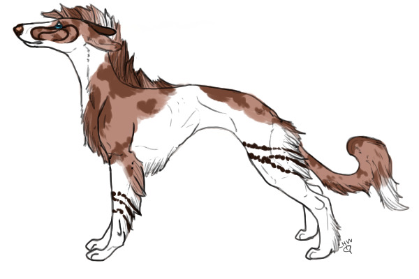 Red Merle Parti-Color