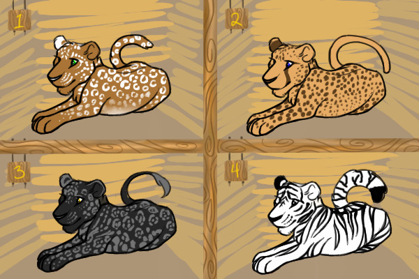 Big Cats