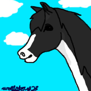 Tuxedo Horse