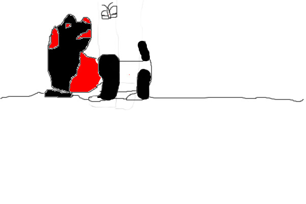 Red blac and white panda dog