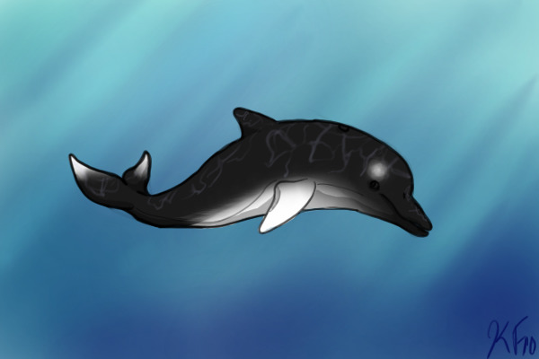 Orca-phin <3