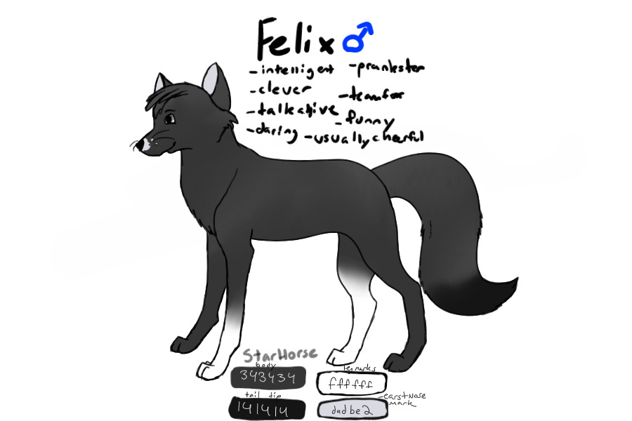 Felix ~ Fox Sled Team