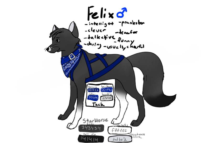 Felix ~ Fox Sled Team ~ Tack