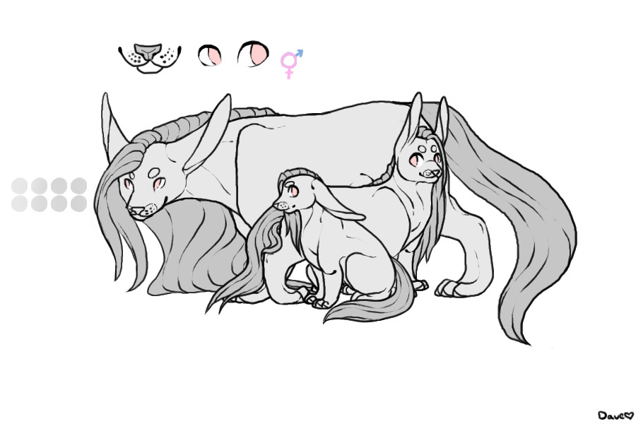 Species bought by Nik-Nak