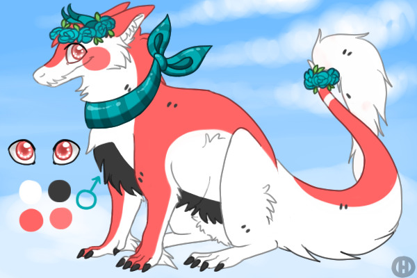 Nori With Accessories
