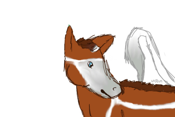 Tobiano Chestnut